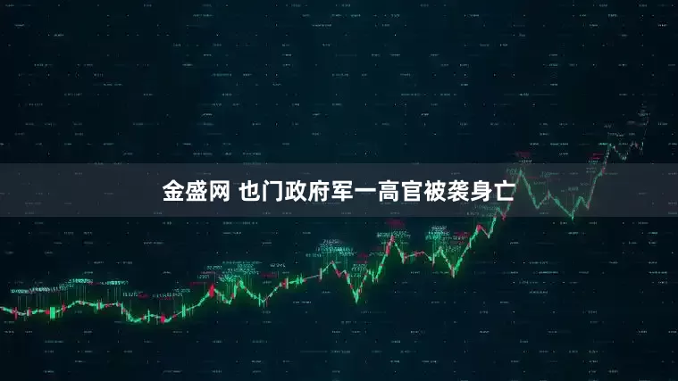 金盛网 也门政府军一高官被袭身亡