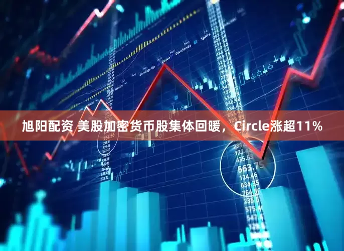 旭阳配资 美股加密货币股集体回暖，Circle涨超11%